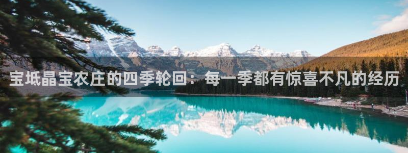 摩根娱乐宝