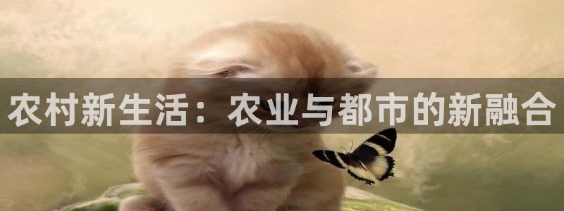 摩根娱乐平台云挂机安全吗