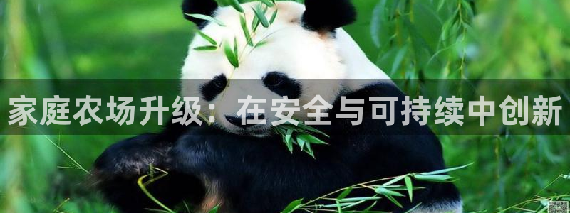 浙江义乌摩根娱乐场所