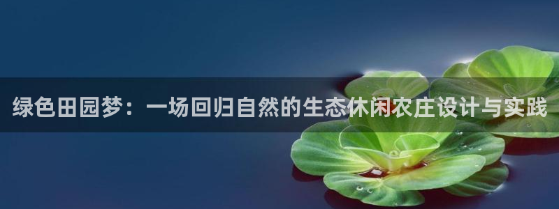 摩根娱乐包是什么