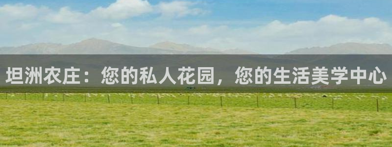 摩根娱乐50186找