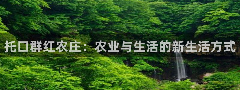 摩根娱乐宝怎样拉下线