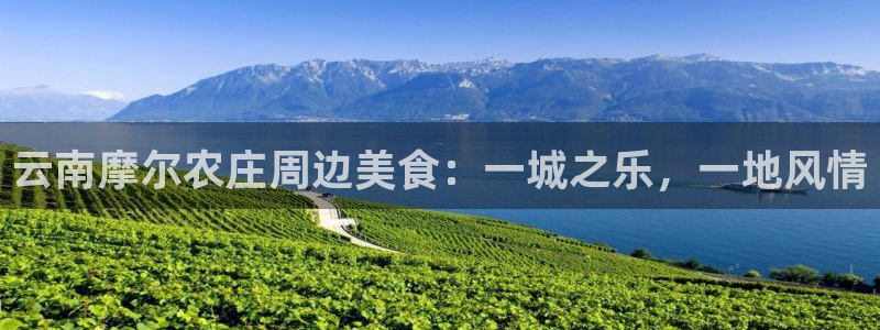 摩根娱乐宝招商
