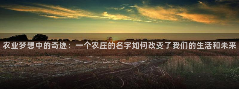摩根娱乐百家号