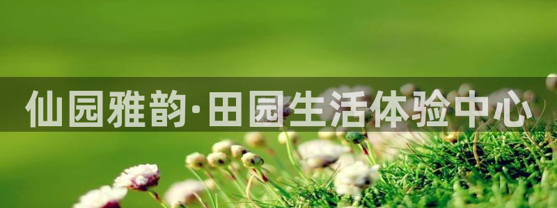 摩根娱乐彩票挂机
