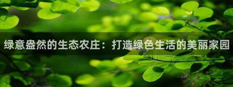 泉州摩根会娱乐