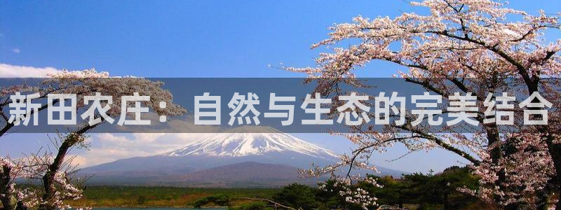 摩根娱乐宝如何提现