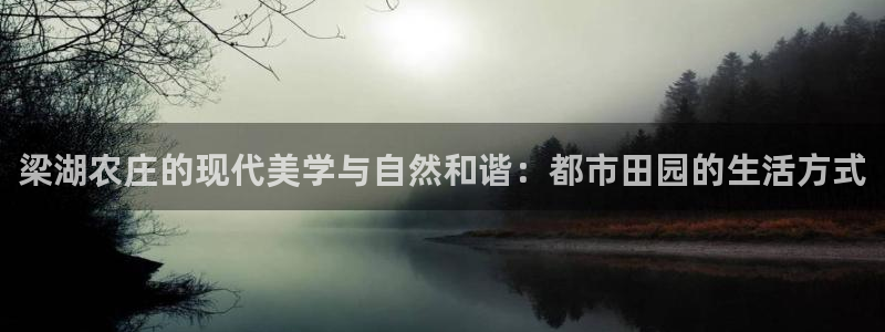 摩根大通会员买金沙娱乐