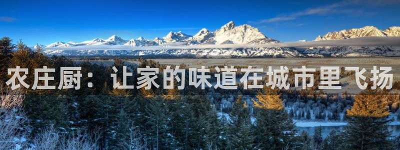 摩根娱乐首页