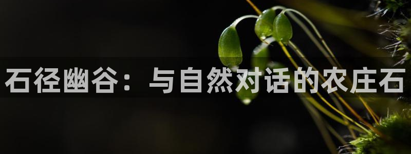 泉州摩根娱乐会所地址