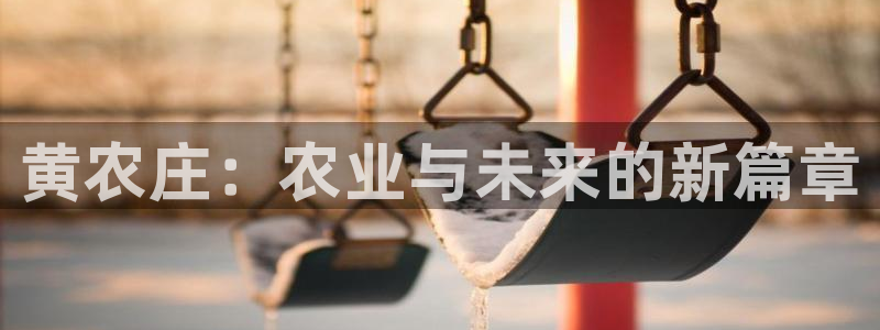 摩根会娱乐会所