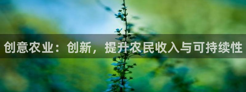 摩根国际娱乐宝