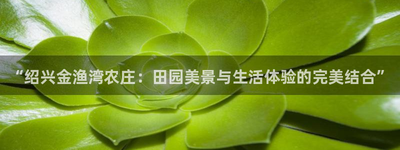 临平摩根娱乐会所地址