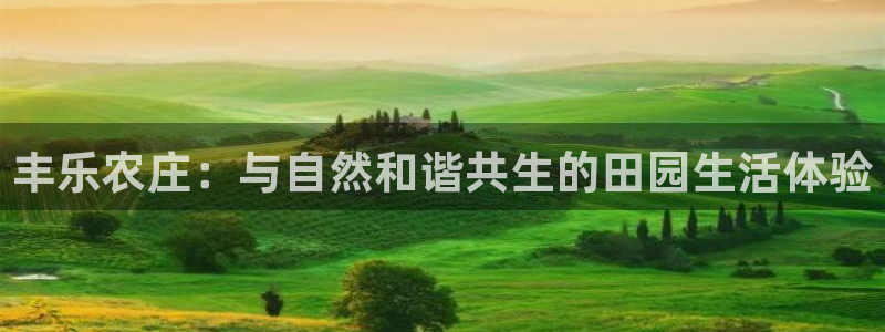 摩根2娱乐