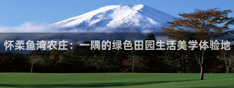 娱乐解说摩根王者荣耀