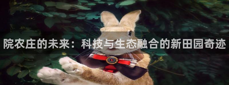 摩根娱乐宝招商