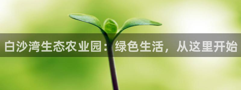 摩根娱乐开户总s管50015 15
