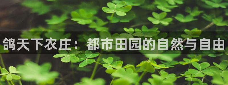 摩根娱乐50186联系