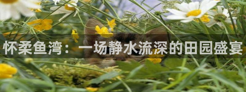白宫摩根会娱乐会所