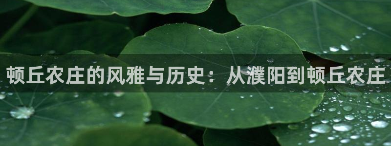 亚瑟摩根娱乐的地方
