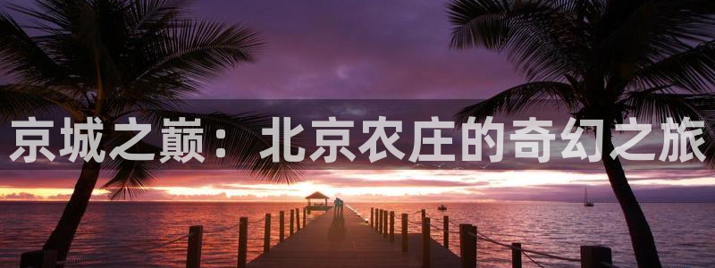 摩根娱乐宝微信客服