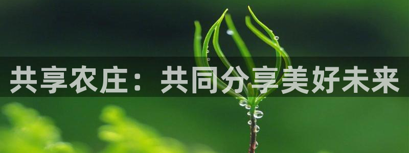 摩根娱乐黑台