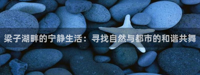 摩根娱乐官网