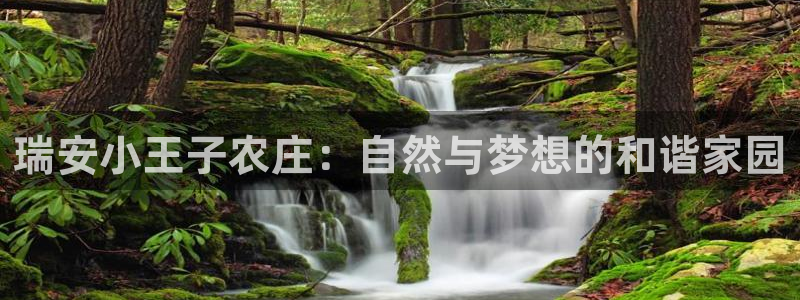 摩根娱乐官网下载