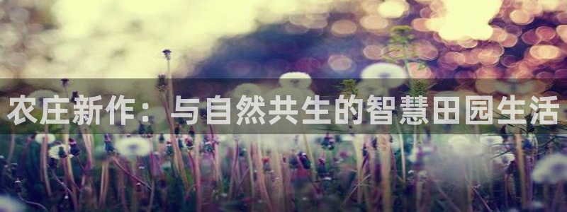 义乌摩根娱乐会所价格