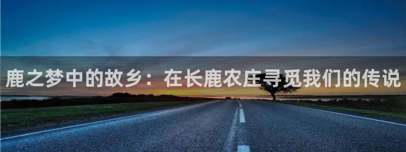 摩根餐饮娱乐