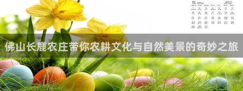 摩根太古互动娱乐中心