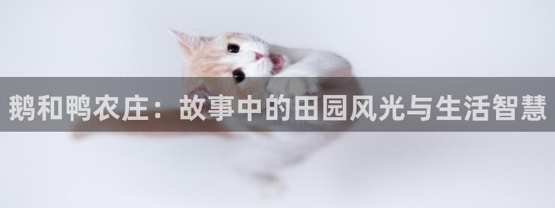 泉州摩根娱乐会所电话多少