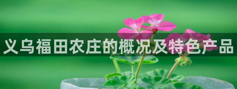 摩根在娱乐圈爆红