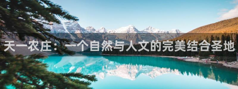 摩根娱乐公司