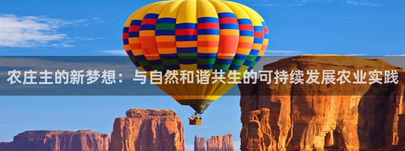 泉州摩根会娱乐有限责任公司管理