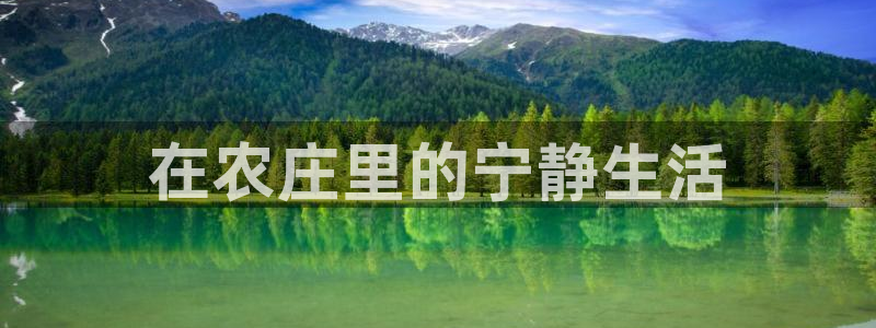摩根娱乐视频大全
