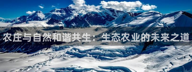 摩根娱乐挂机项目有哪些