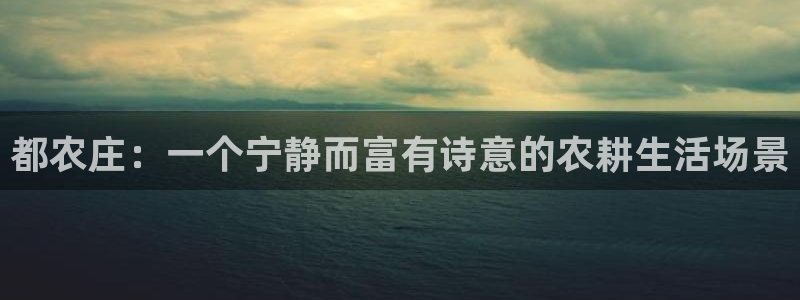 白宫摩根娱乐