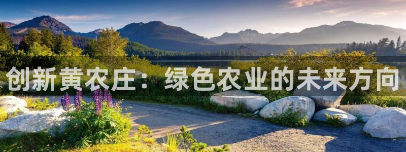 摩根娱乐宝收益怎么样