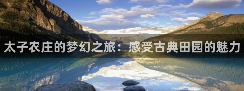 摩根娱乐和摩根国际