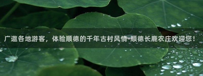 摩根娱乐宝。知道吗