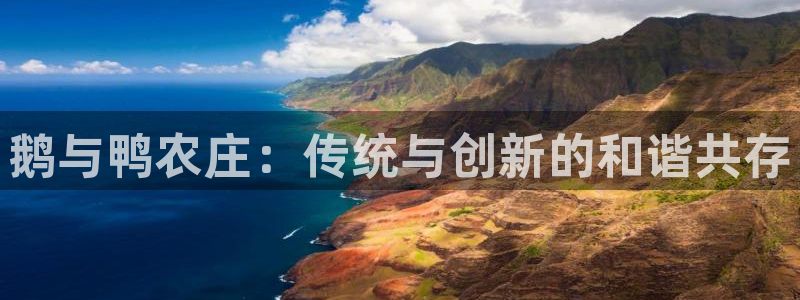 摩根娱乐 股s东50015