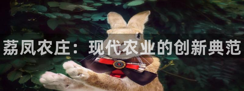 柬埔寨西港摩根娱乐