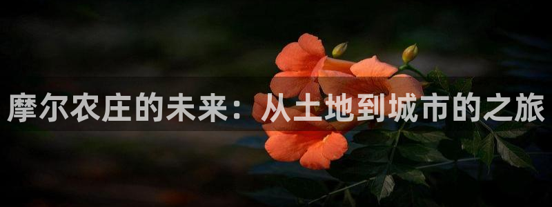 摩根娱乐宝骗了多少人