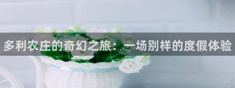 摩根娱乐官网