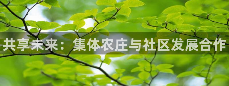 摩根娱乐官网下载