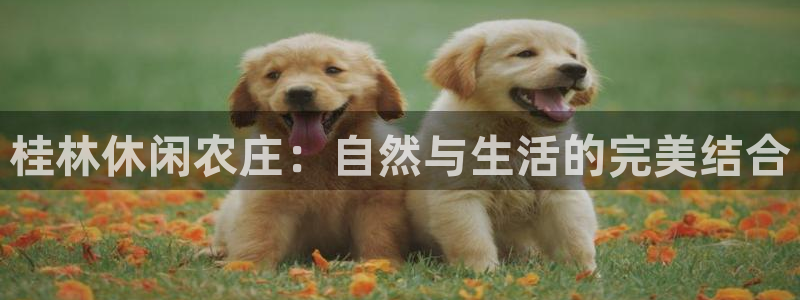 泉州摩根会娱乐张桂花