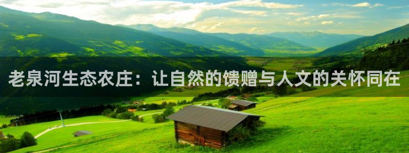 摩根娱乐 总s管50015