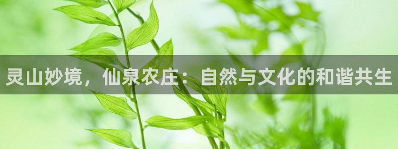 泉州摩根娱乐会所电话号码