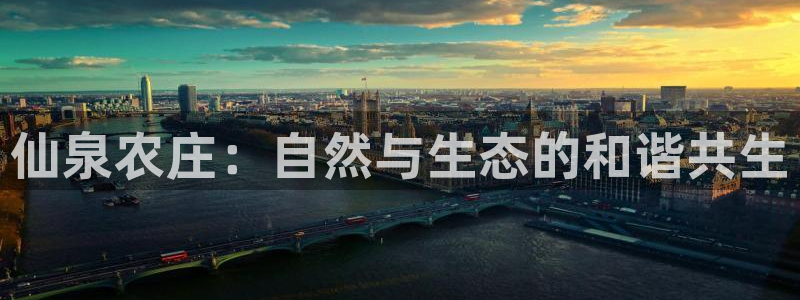 摩根娱乐50186
